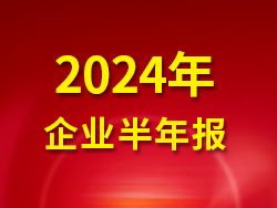 2024年企業(yè)半年報(bào)